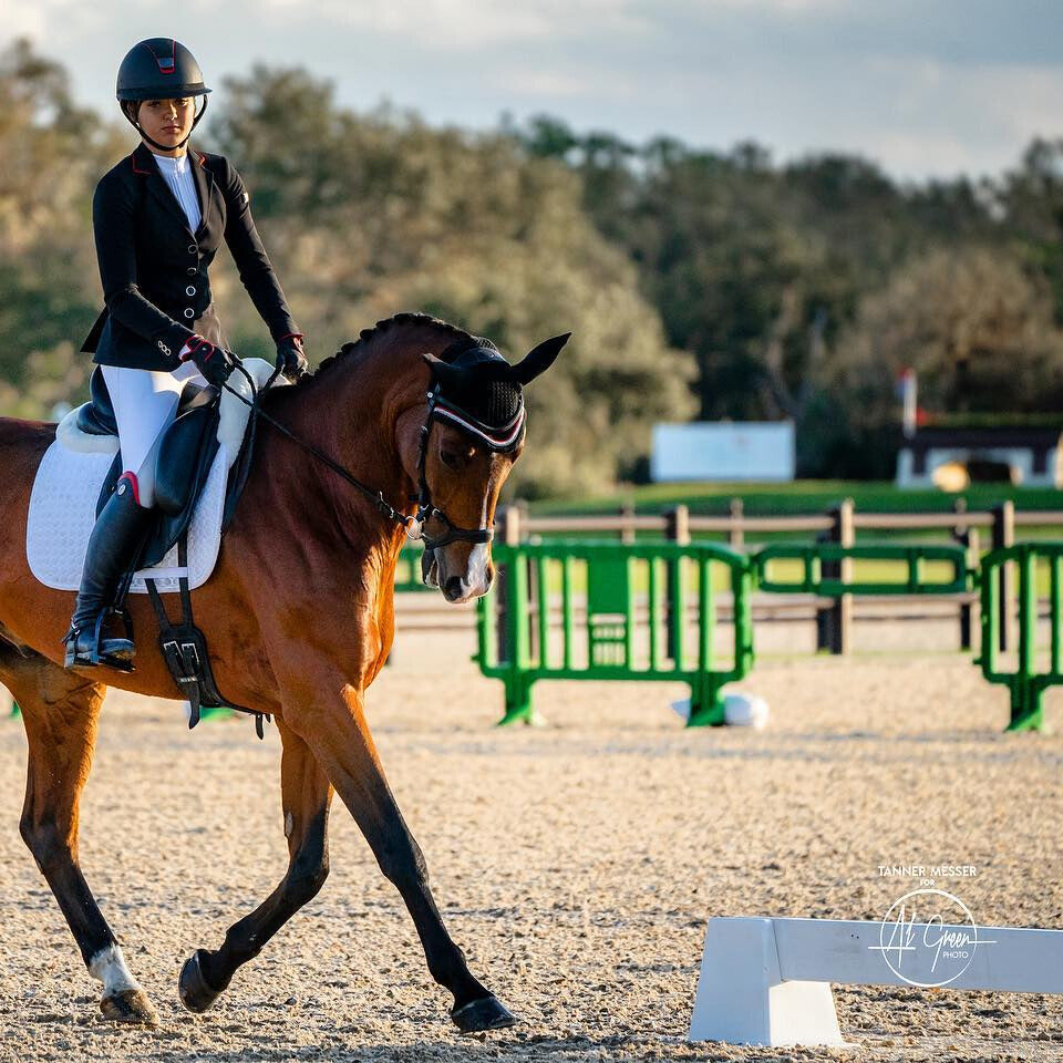 MOVIT® Plastic Interlocking Barricade